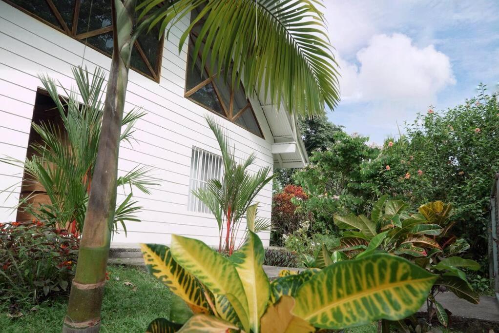 Casa Moes Villa Cahuita Exterior photo